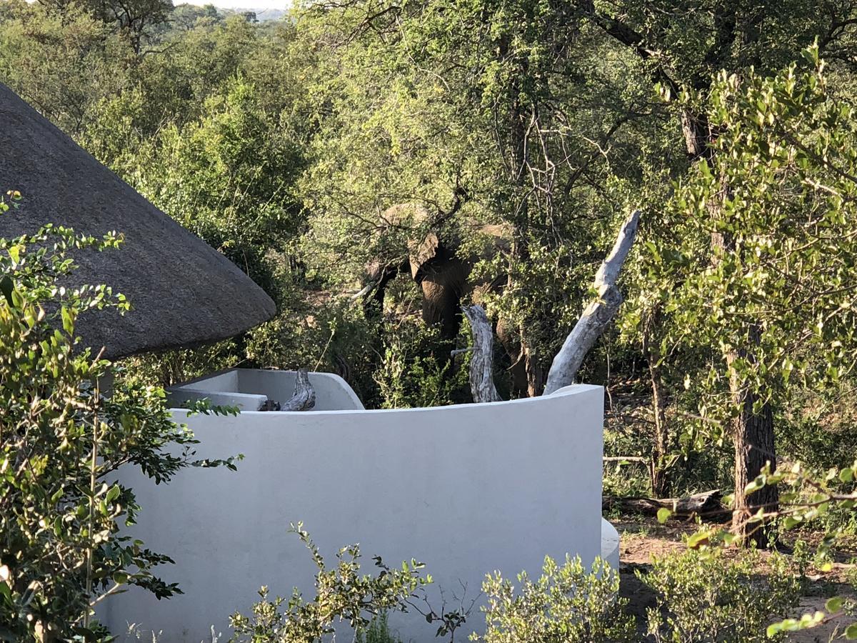 Lengau Lodge Grietjie Game Reserve Bagian luar foto