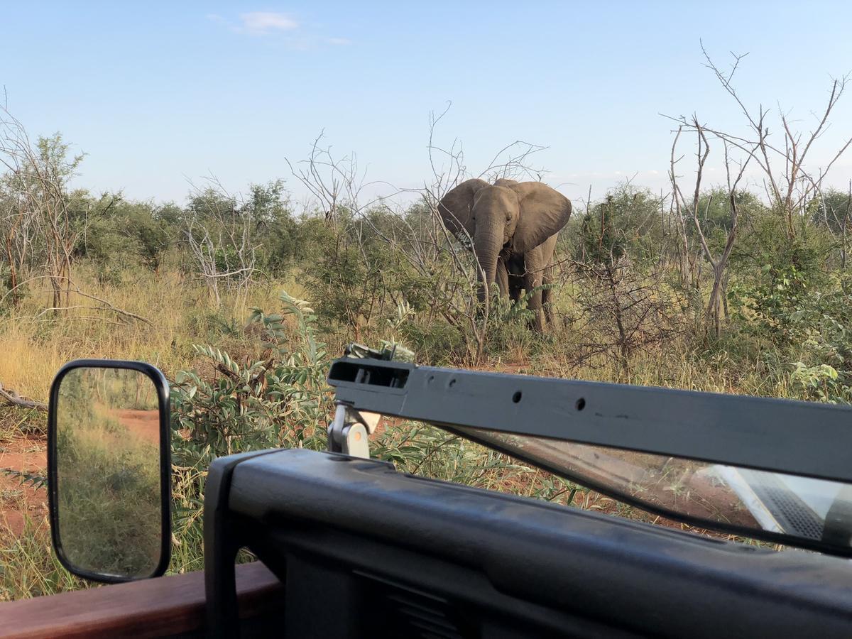 Lengau Lodge Grietjie Game Reserve Bagian luar foto