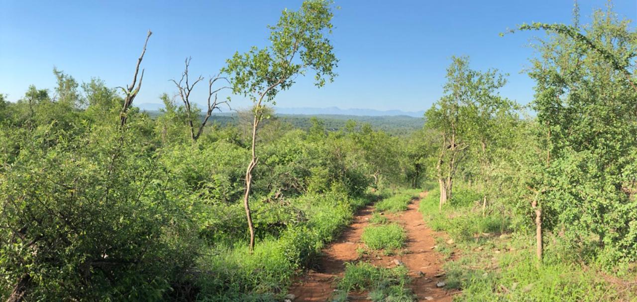 Lengau Lodge Grietjie Game Reserve Bagian luar foto