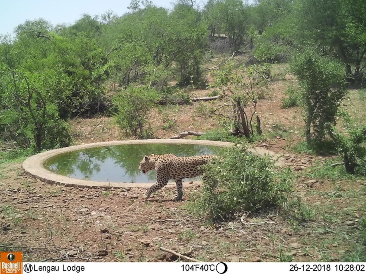 Lengau Lodge Grietjie Game Reserve Bagian luar foto