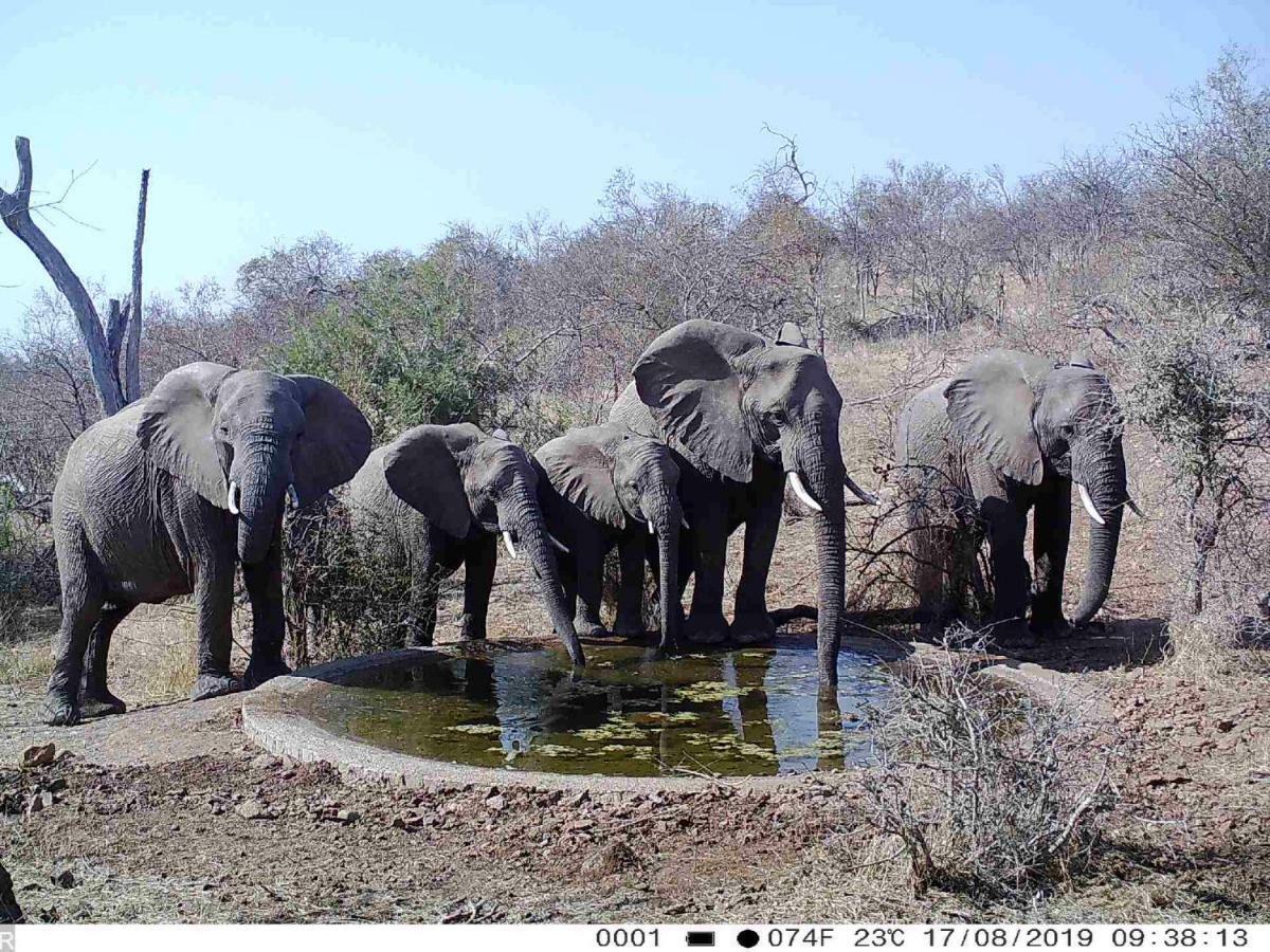 Lengau Lodge Grietjie Game Reserve Bagian luar foto